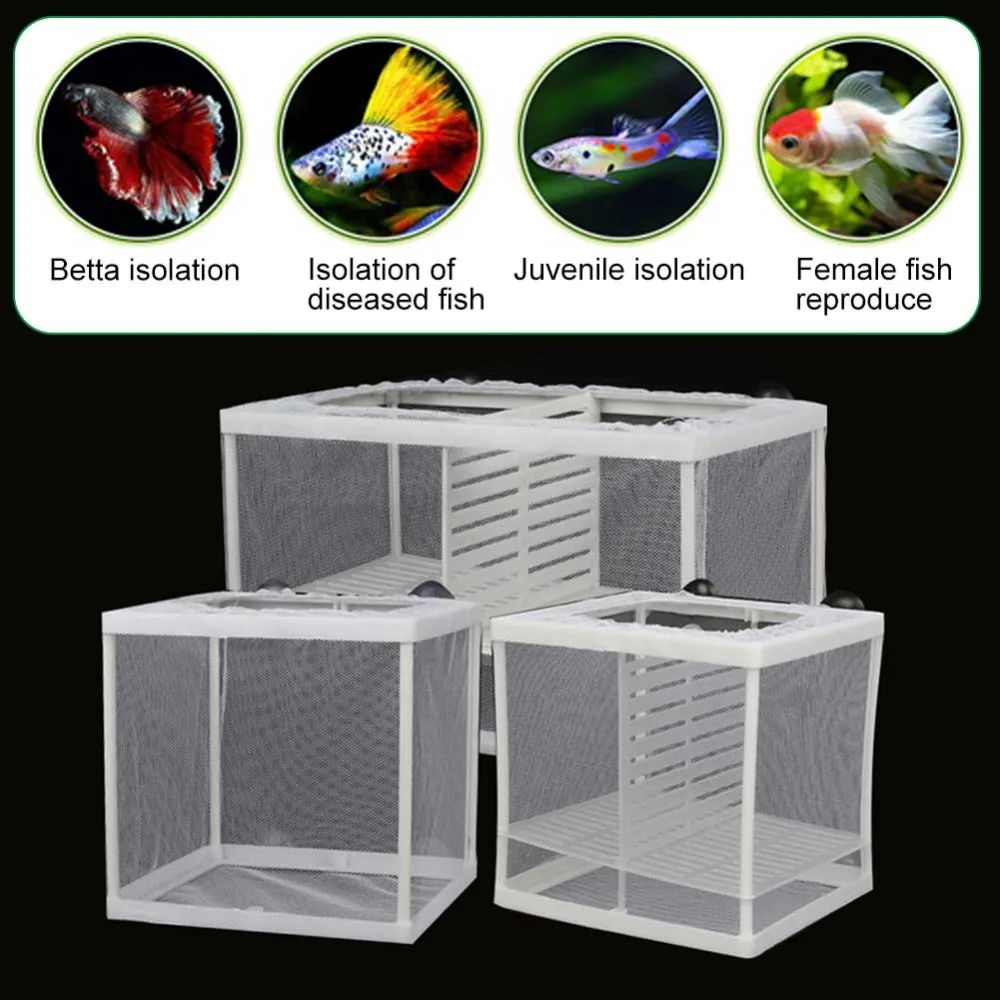 308204_no-logo_308204-1-04-g