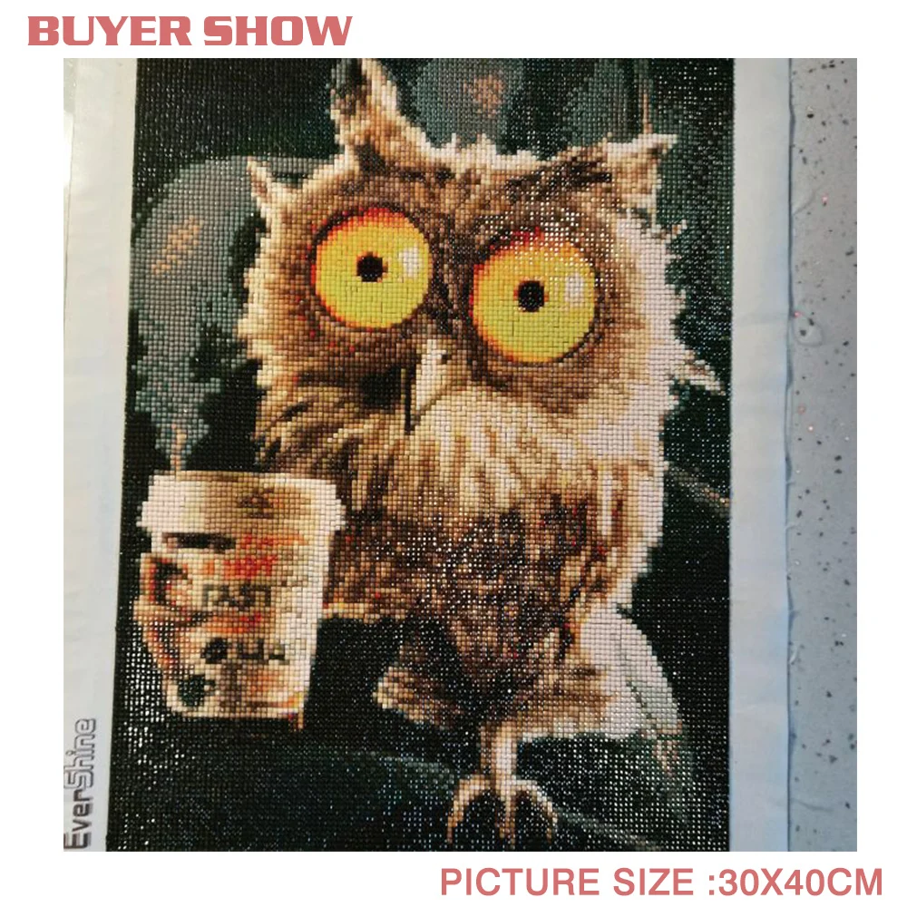 Diamond Painting EverShine Diamond Mosaic Full Square Owl Rhinestones Art Animal Diamond Painting Cartoon Cross Stitch Decoration For Home