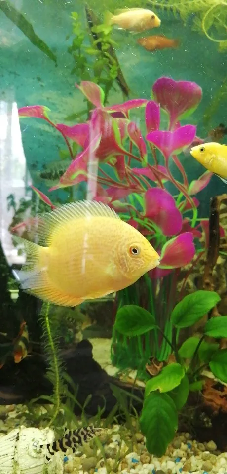 U04a743ea0d934b1c9ecfb913d61d0ea8L