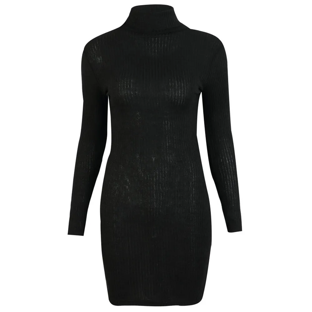 Jaycosin Fashion Womens Casual Long Sleeve Jumper Turtleneck Sweaters Dress Elegant Lovely Chic Comfy Jumper Top Blouse