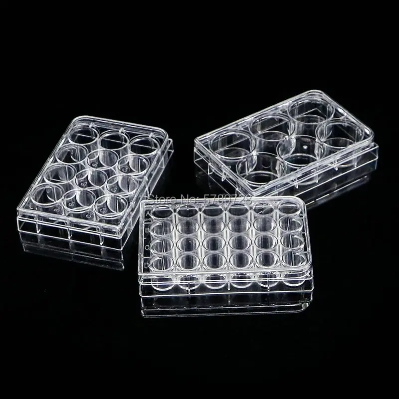 5pcs 6/12/24/48/96/384 hole Disposable Cell Culture Plate Bacterial Culture Plate Enzyme Label Sterilization Packaging