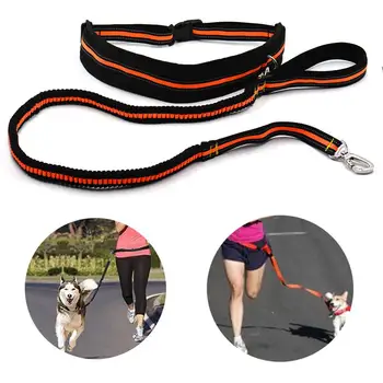 

Retractable Dog Leash Puppy Walking Leads with Waist Bag for Outdoor Pet Sports Running Reflective Stretch Traction Rope