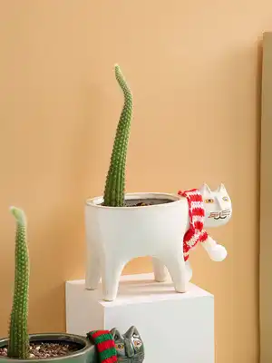 Pot De Fleurs En Ceramique Queue De Chat Mignon Cactus Creatif Multi Viande Decoration Simple De Bureau Animaux De Dessin Anime Aliexpress Pot De Fleurs En Ceramique Queue De Chat Mignon Cactus Creatif Multi Viande Decoration Simple De Bureau Animaux De Dessin Anime Aliexpress