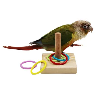 

Parrots Training Rings Toy Parrot Stacking Ring Toys Set Intelligence Training Toys Stacking Color Rings Cockatiel Parrots Toys