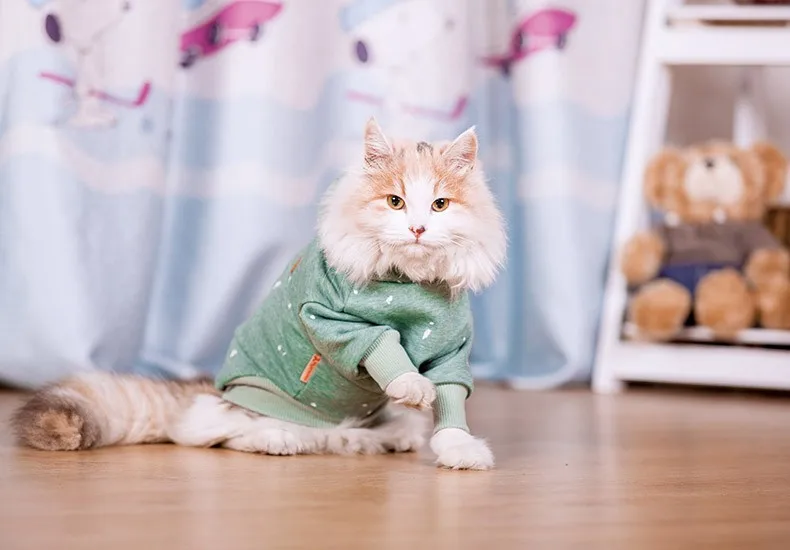 Hoopet Одежда для кошек талисманы куртка для собак костюм Французский бульдог Мопс свитер костюм для кошек одежда Толстовка пальто