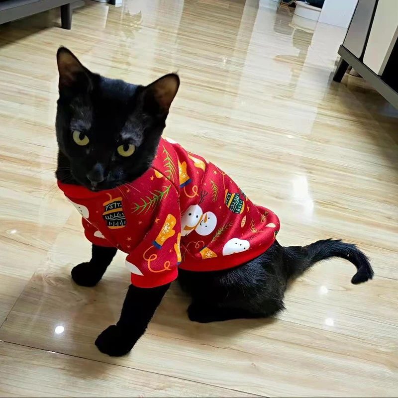 Intacto Mejora Barra oblicua Sudadera con capucha de gato de dibujos animados, ropa de otoño e invierno para  gatos, suéteres Kadi, traje para mascotas, ropa para gatos|Ropa para gatos|  - AliExpress