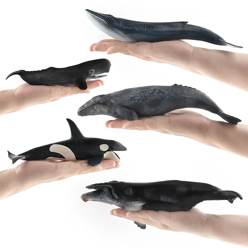 Modello Balena Realistico In Plastica - Giocattolo Educativo Bambini