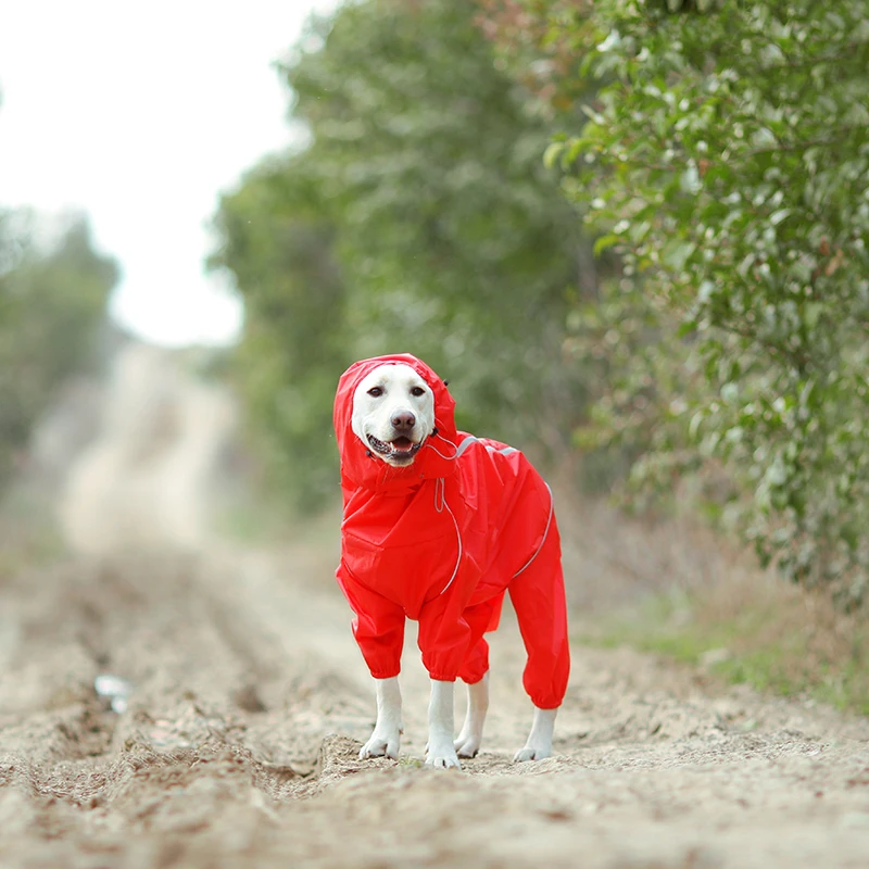 raincoat for labrador retriever