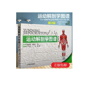 

Sports Anatomy Atlas Muscle-Building Tutorial Book People's Physical Fitness Book Atlas Medical Color Atlas Fit Training Graphic