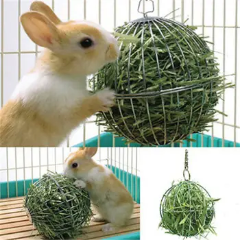 

Hollow Sphere Rabbit Stainless Steel Pet Feed Dispenser Ball Toy with Chain Hook