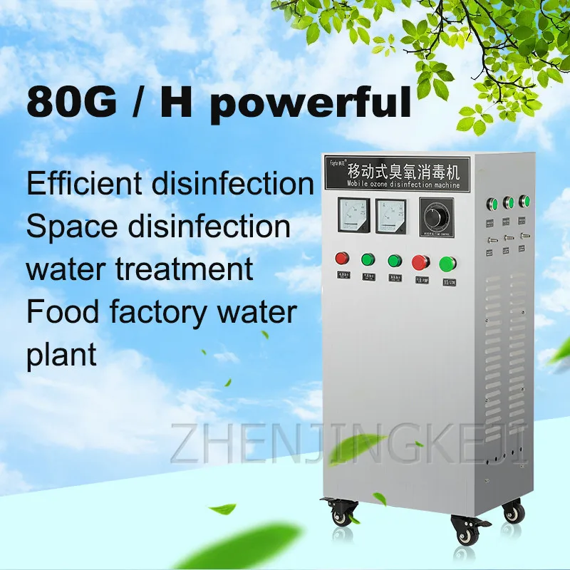 

30g Ozone Generator 220v Air Ozonizer Stainless Steel Disinfector Workshop Farm In Addition To Formaldehyde Sterilization Tools