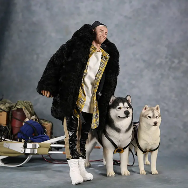 1/6スケールmr.zなし32動物モデル模造アラスカンマラミュート