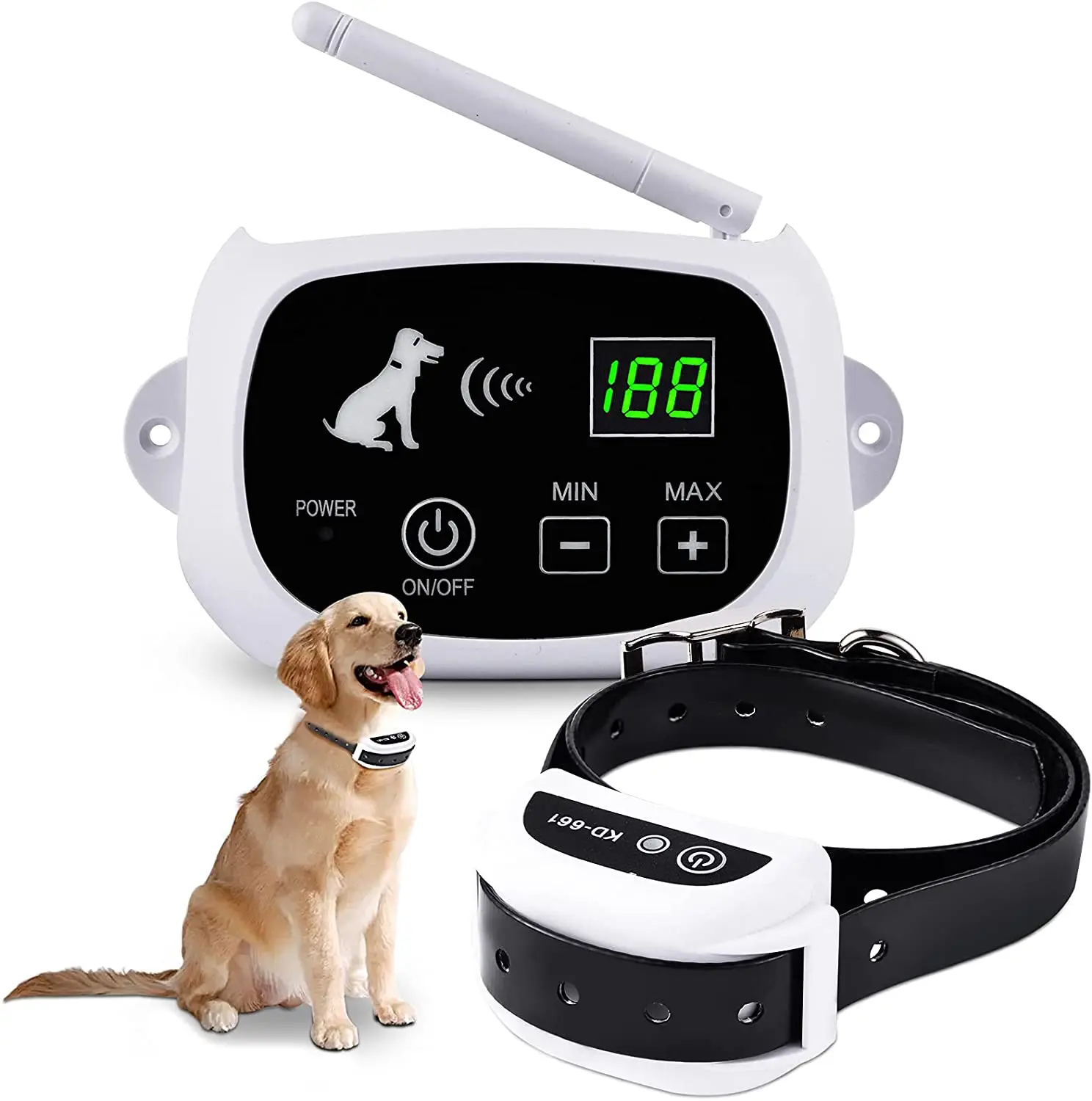 electric dog collar fence