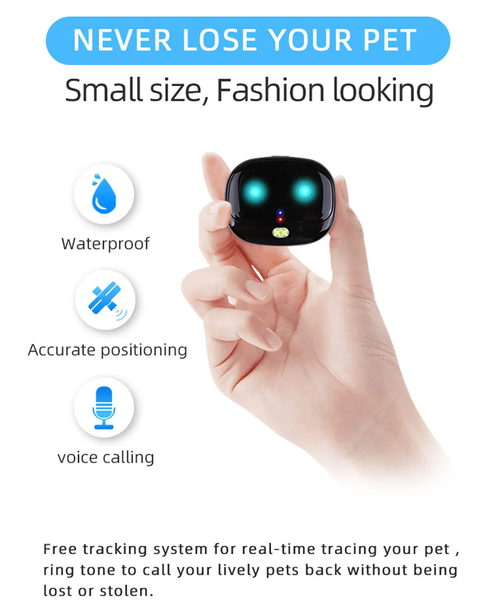 v47-宠物详情页英文版_02