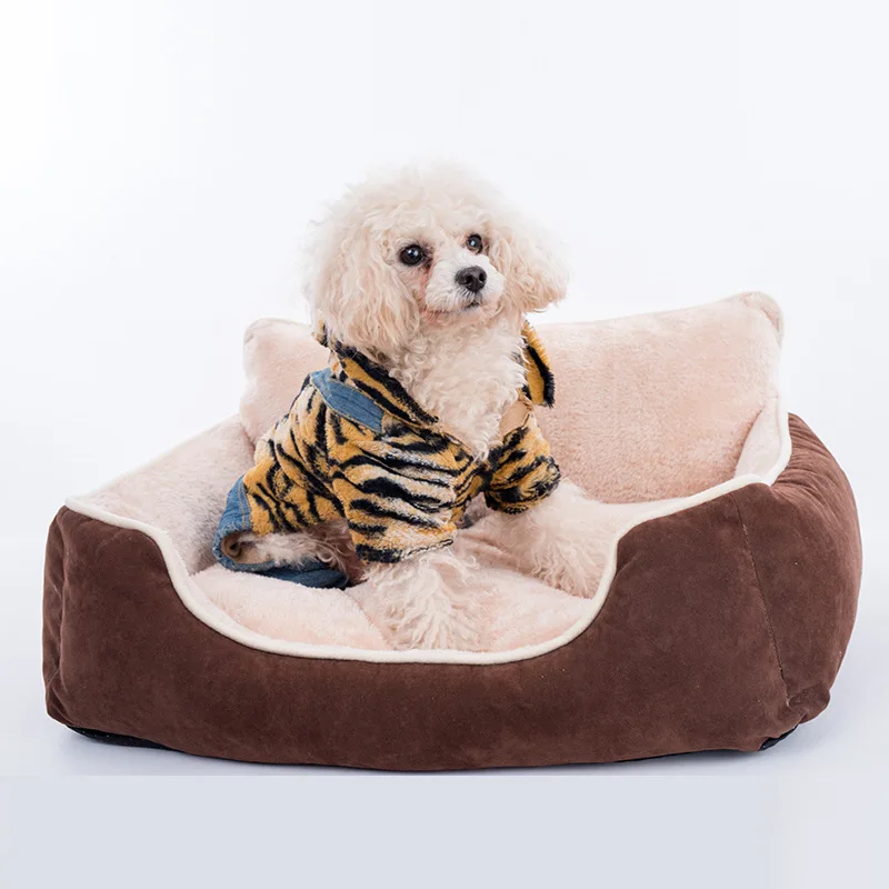 8560664556_2036273161