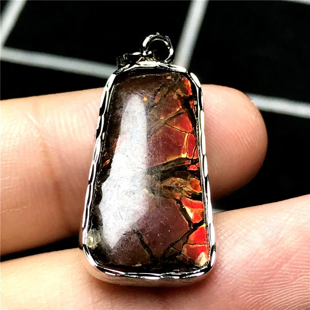 Ammonite Ammolite Pendant (66)