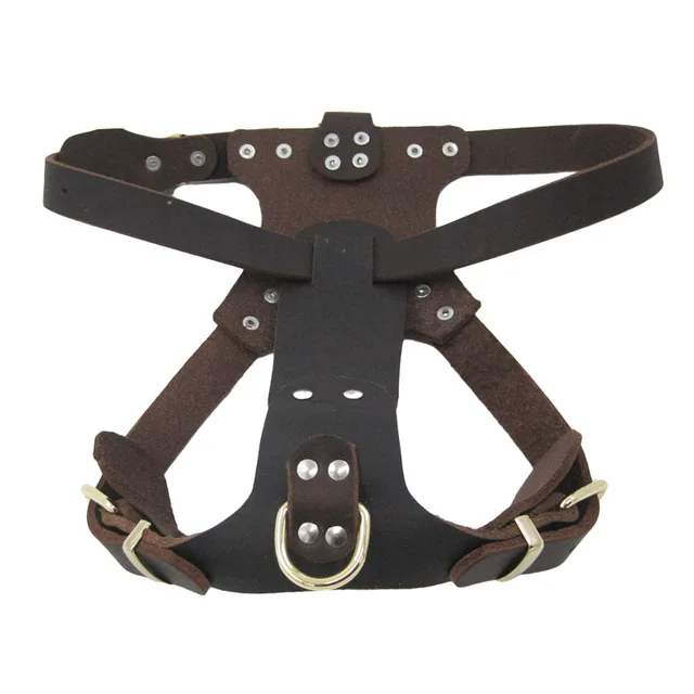 Leather Dog Harness 1