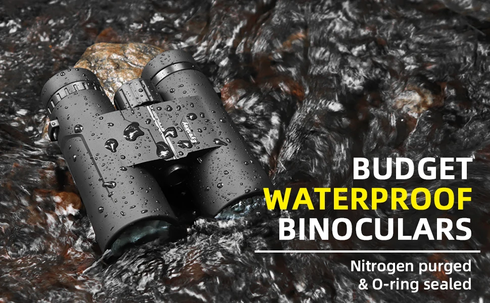 185be97b-468e-4732-99ba-9cf91ac2f3a7.__CR0,0,970,600_PT0_SX970_V1___