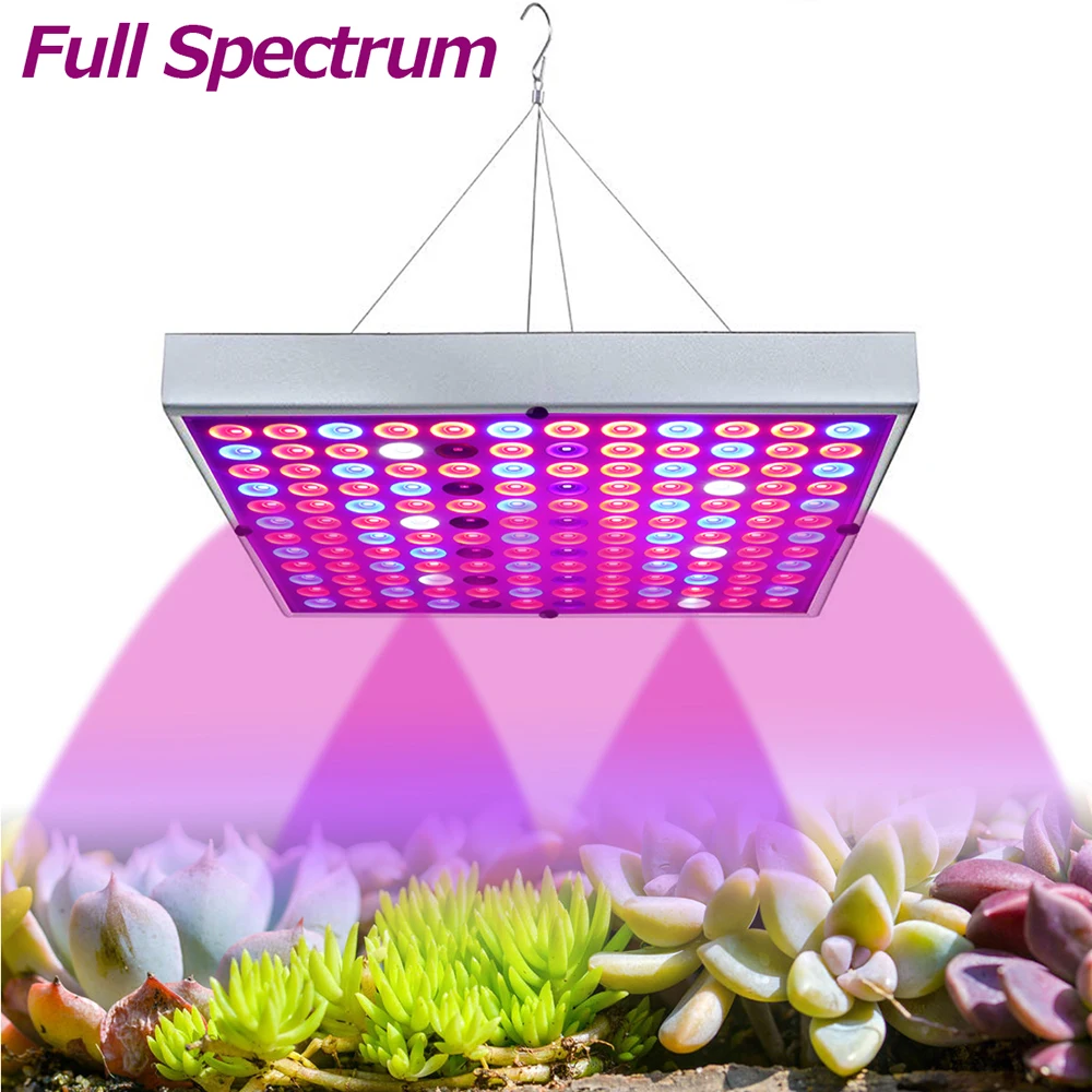 Cheap Luzes LED crescimento plantas