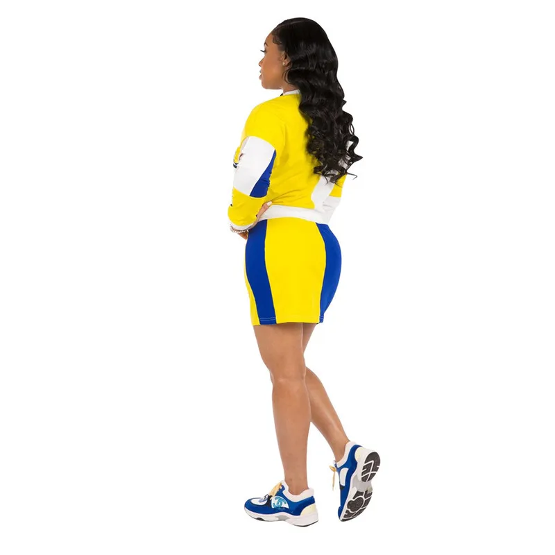Color Block Causal 2 Piece Skirt Set Women Round Neck Long Sleeve Crop Top and Mini Pencil Skirts Plus Size Fall Winter Outfits