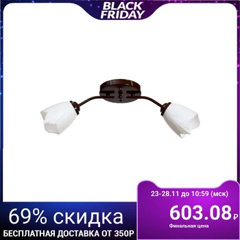 

Chandelier 1341006/2WT E27 15 W Brown 4533457