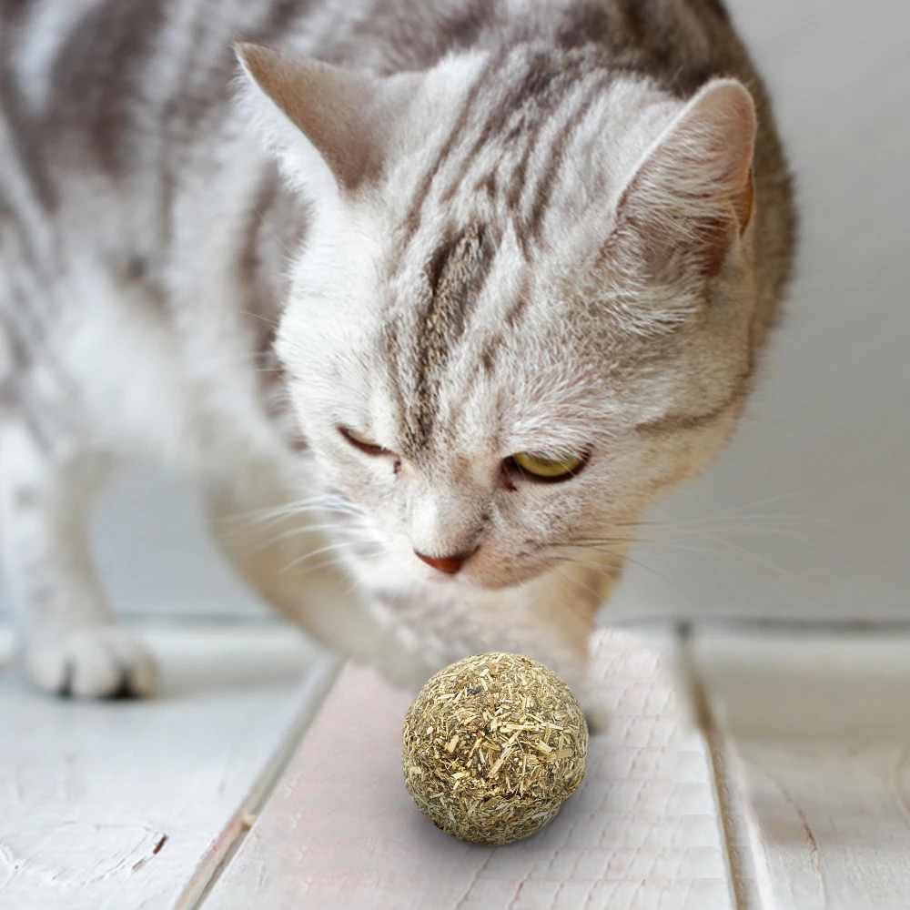 Кошачий шарик из натуральной кошачьей мяты игрушка ментоловый аромат котенок