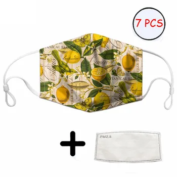 

Classic Lemon Pattern Adjustable Adults Face Masks with Earloops Breathable Mouth Mask Health with Filter Activated Carbon Large