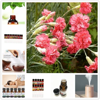 

10ml Essential Oils Red Spider Lily Natural Aroma Oil Body Massage Oil Regulate Endocrine Healthy Air Care Diffuser Oil