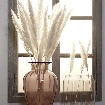 

15 Pcs Dried Small Pampas Grass Phragmites Communis Decoration for Home Store Wedding KSI999