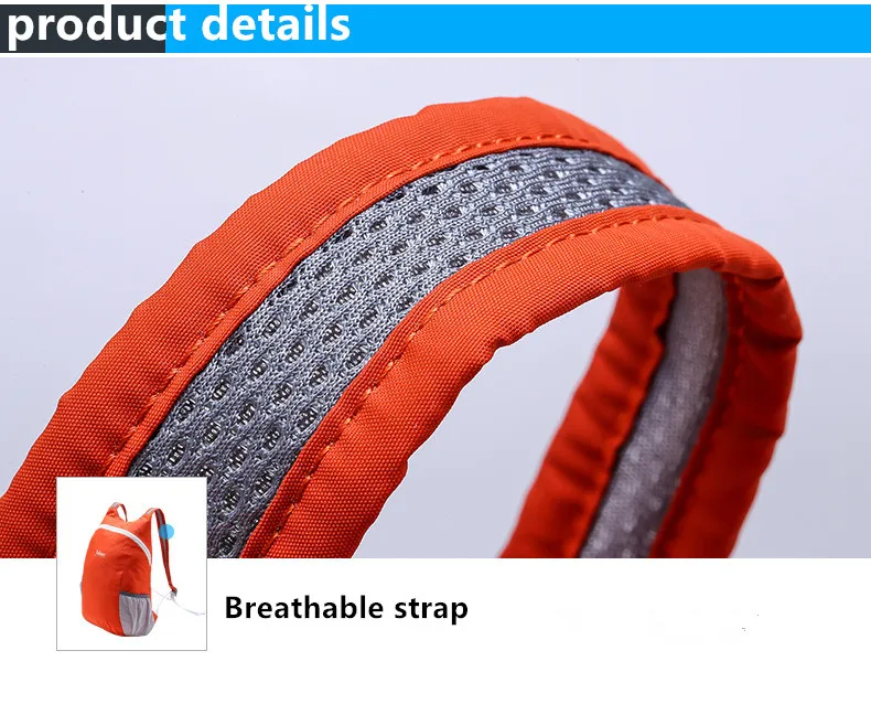 4049503197_163264714_副本