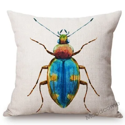 conew_n311 (12) 副本