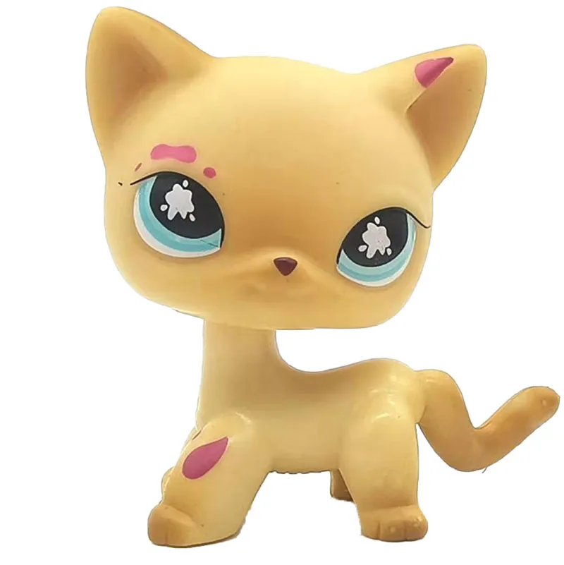 猫 (17)