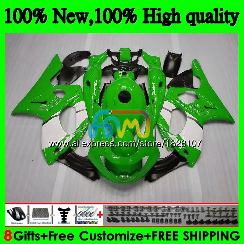 Thundercat для YAMAHA YZF600R 96 02 03 04 2005 2006 2007 73BS. 115 YZF 600R зеленого и белого цветов YZF-600R 2002 2003 2004 05 06 07 обтекатель