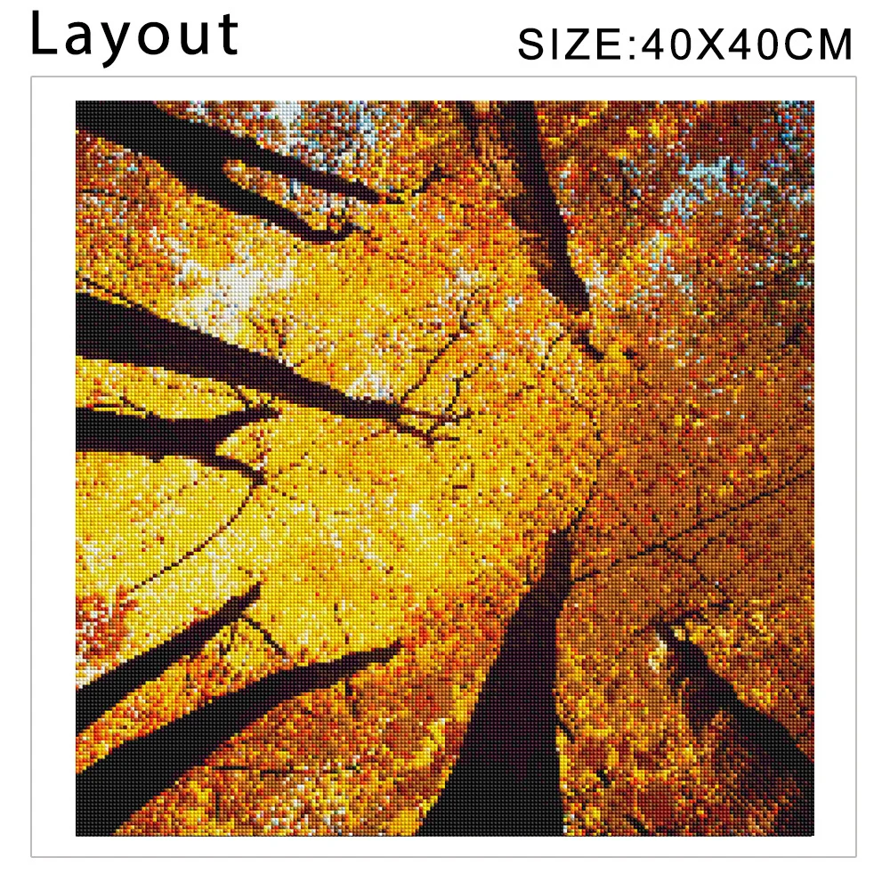 10 (4).jpg_.webp 10 (4).jpg_.webp