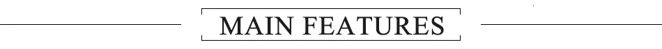 main feature