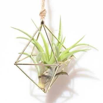 

Freestanding Hanging Planters Geometric Swing Wrought Iron Tillandsia Air Plants Holder Triangular Shaped Metal Rack Gold