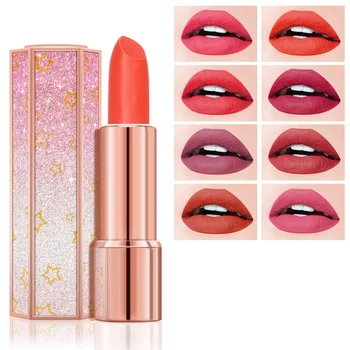 

Matte Lipstick Long lasting Lipsticks Set Popular Colors Waterproof Lip Stick Matte sexy Red Liquid Lipstick Protective Lip