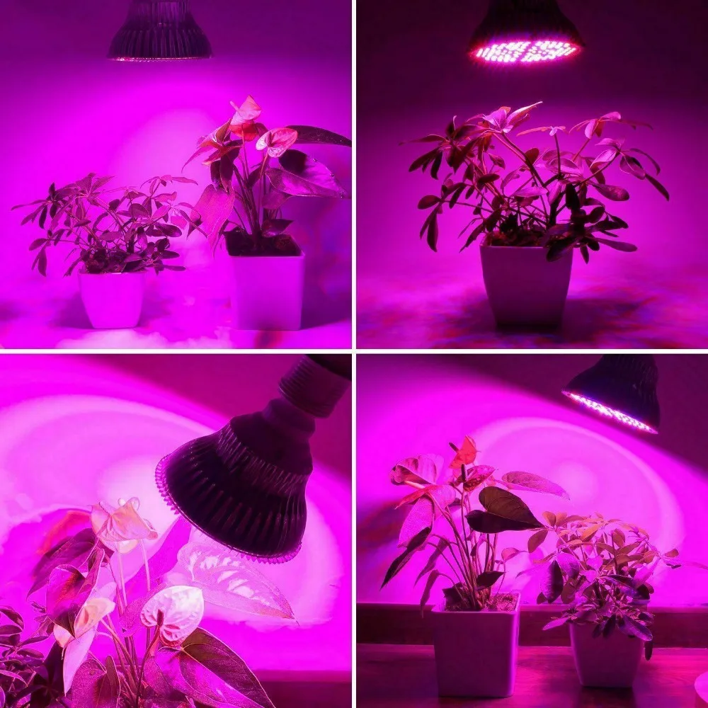 E27-Full-Spectrum-20W-30W-40W-80W-100W-150W-LED-Plant-Grow-Light-Bulb-Fitolampy-Phyto
