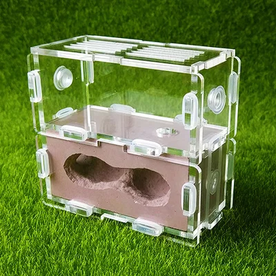 Гипсовые и акриловые муравьиные гнезда ферма дом для маленьких жилых колоний