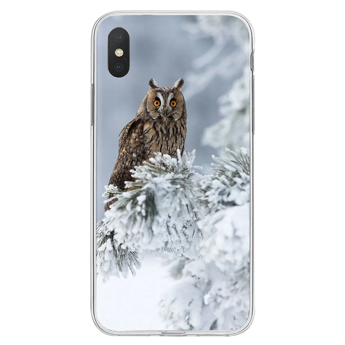 Soft Shell Cover Long Eared Owl Asio otus North Europe For Samsung Galaxy J1 J2 J3 J4 J5 J6 J7 J8 Plus 2018 Prime 2015 2016 2017 | Мобильные