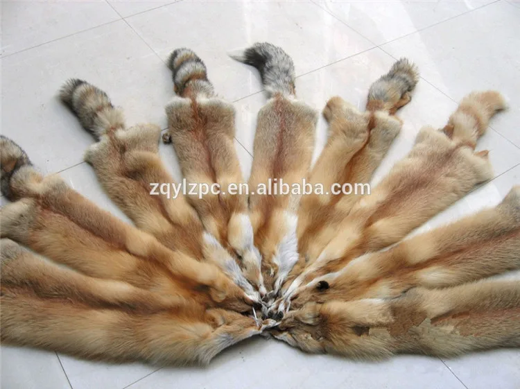 red fox skin06