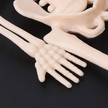 rubber skeleton toy