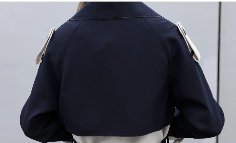 11571183488_1563960029