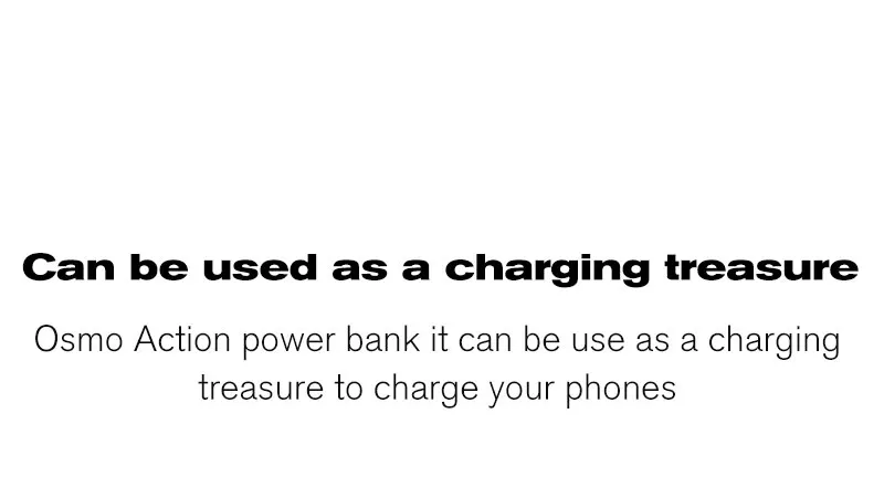 Чехол для экшн-зарядки power Bank зарядное устройство type-c In-put USB Out-put для DJI OSMO Action зарядное устройство аксессуары