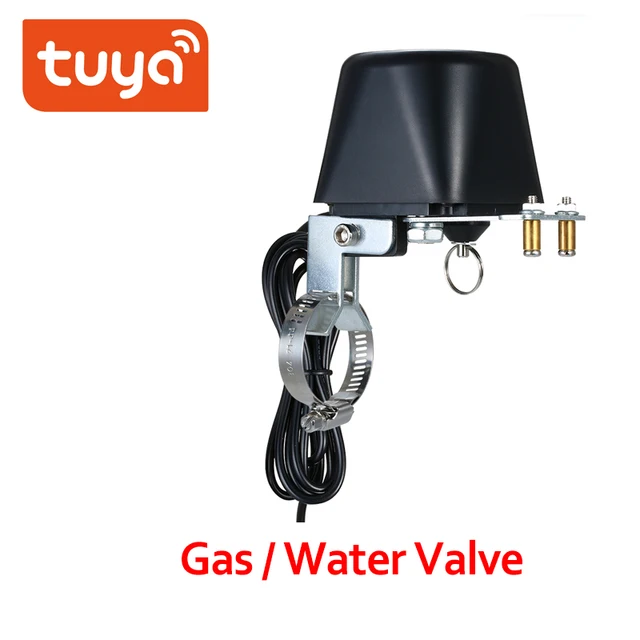 Gas Water Valve