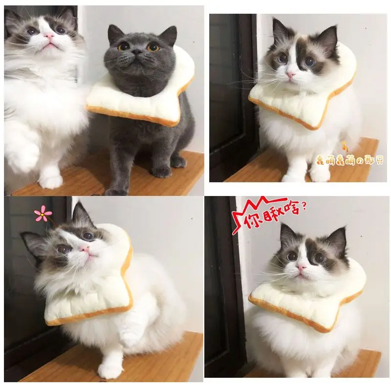 Pet мягкий тост в форме хлеба елизабетанский воротник хлопок рана Исцеление медицинская защита шеи кольцо Домашние животные Acessorios