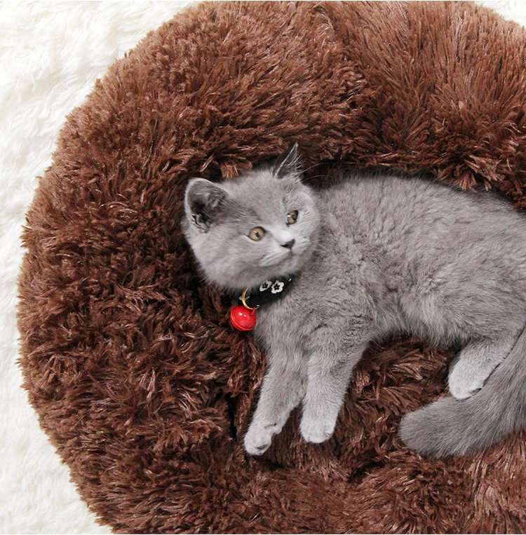 gato, tapetes de algodão macio, sofá para