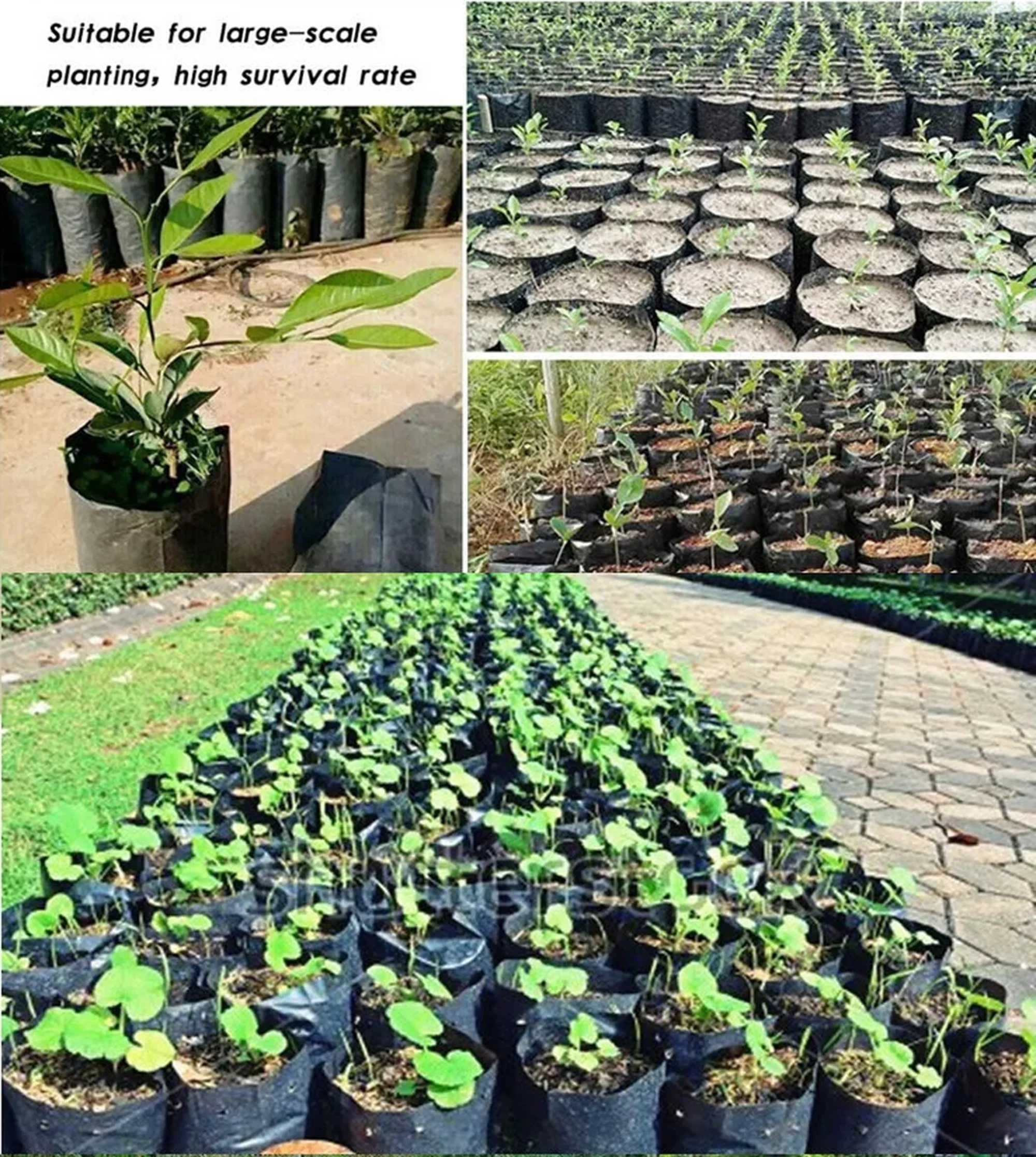 30Pcs PE Plastic Nursery Bags with Breathable Hole Thicken Permeable Growing Bags Garden Seedling Cultivation Transplanting Pot