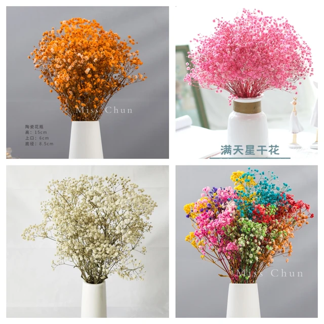 Flores secas naturales preservadas Gypsophila Paniculata, flor seca  BabysBreath, accesorios de decoración para casa de boda - AliExpress