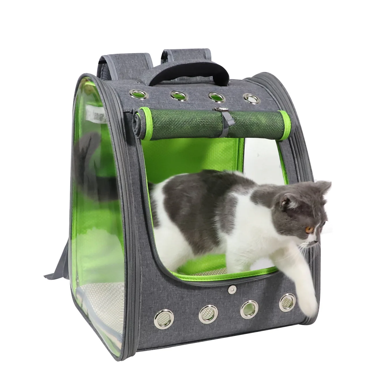 

Sheng Qi New Style Currently Available Pet Backpack Fully Transparent PVC Pet Backpack Large Capacity gato negro bao Pet Bag